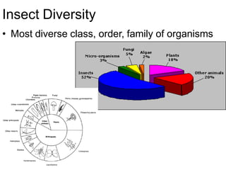 Insect Diversity
• Most diverse class, order, family of organisms
 