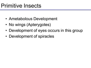 Primitive Insects
• Ametabolous Development
• No wings (Apterygotes)
• Development of eyes occurs in this group
• Development of spiracles
 