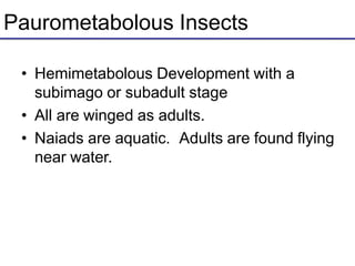 Paurometabolous Insects
• Hemimetabolous Development with a
subimago or subadult stage
• All are winged as adults.
• Naiads are aquatic. Adults are found flying
near water.
 
