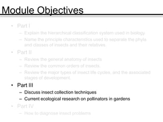 Module Objectives
• Part I
– Explain the hierarchical classification system used in biology.
– Name the principle characteristics used to separate the phyla
and classes of insects and their relatives.
• Part II
– Review the general anatomy of insects
– Review the common orders of insects.
– Review the major types of insect life cycles, and the associated
stages of development.
• Part III
– Discuss insect collection techniques
– Current ecological research on pollinators in gardens
• Part IV
– How to diagnose insect problems
 