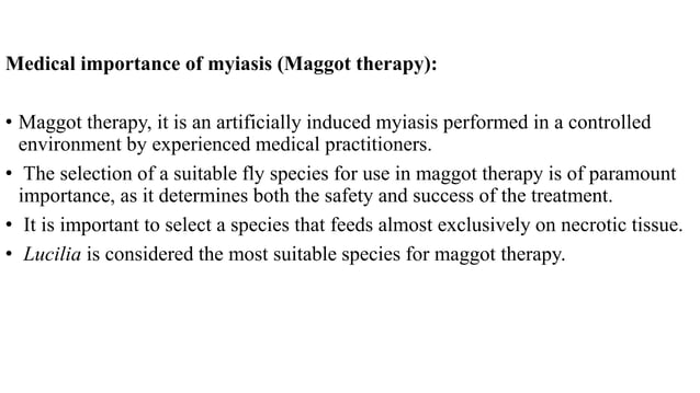 ENTOMOLOGY (MYIASIS) - INFECTION OF HUMAN TISSUE BY MAGGOTS.pptx