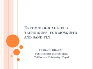 ENTOMOLOGICAL FIELD
TECHNIQUES FOR MOSQUITO
AND SAND FLY
PRAKASH DHAKAL
Public Health Microbiology
Tribhuvan University, Nepal
 