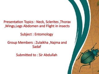 Entomology Presentation insect neck sclerites | PPTX
