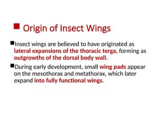 Terga Insects Entomology Presentation insect neck sclerites | PPTX