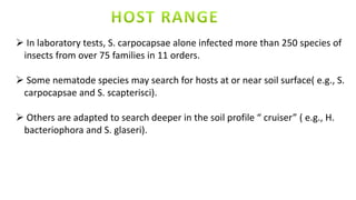  In laboratory tests, S. carpocapsae alone infected more than 250 species of
insects from over 75 families in 11 orders.
 Some nematode species may search for hosts at or near soil surface( e.g., S.
carpocapsae and S. scapterisci).
 Others are adapted to search deeper in the soil profile “ cruiser” ( e.g., H.
bacteriophora and S. glaseri).
 