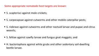 Some appropriate nematode host targets are known:
 S. scapterisci against mole crickets;
 S. carpocapsae against cutworms and other mobile caterpillar pests;
 S. riobrave against cutworms and other noctuid larvae and pupae and citrus
weevils;
 S. feltiae against sawfly larvae and fungus gnat maggots; and
 H. bacteriophora against white grubs and other sedentary soil-dwelling
beetle larvae.
 
