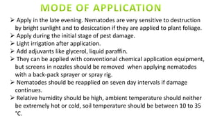 Apply in the late evening. Nematodes are very sensitive to destruction
by bright sunlight and to desiccation if they are applied to plant foliage.
 Apply during the initial stage of pest damage.
 Light irrigation after application.
 Add adjuvants like glycerol, liquid paraffin.
 They can be applied with conventional chemical application equipment,
but screens in nozzles should be removed when applying nematodes
with a back-pack sprayer or spray rig.
 Nematodes should be reapplied on seven day intervals if damage
continues.
 Relative humidity should be high, ambient temperature should neither
be extremely hot or cold, soil temperature should be between 10 to 35
°C.
 