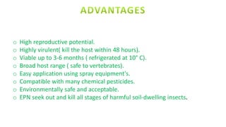 o High reproductive potential.
o Highly virulent( kill the host within 48 hours).
o Viable up to 3-6 months ( refrigerated at 10° C).
o Broad host range ( safe to vertebrates).
o Easy application using spray equipment's.
o Compatible with many chemical pesticides.
o Environmentally safe and acceptable.
o EPN seek out and kill all stages of harmful soil-dwelling insects.
 