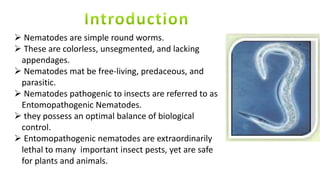  Nematodes are simple round worms.
 These are colorless, unsegmented, and lacking
appendages.
 Nematodes mat be free-living, predaceous, and
parasitic.
 Nematodes pathogenic to insects are referred to as
Entomopathogenic Nematodes.
 they possess an optimal balance of biological
control.
 Entomopathogenic nematodes are extraordinarily
lethal to many important insect pests, yet are safe
for plants and animals.
 