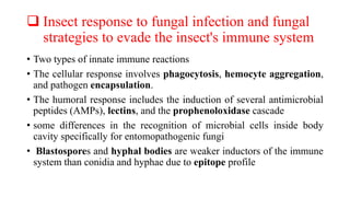 Genetic engineering and molecular interaction of entomopathogenic fungi ...