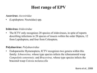 Host range of EPV
Ascovirus: Ascoviridae
• (Lepidoptera: Noctuidae) spp.
Iridovirus: Iridoviridae
• The ICTV only recognizes 20 species of iridoviruses, in spite of reports
describing infections in 28 species of insects within the order Diptera, 12
from Lepidoptera, and four from Coleoptera.
Polydnavirus: Polydnaviridae
• Endoparasitic Hymenoptera, ICTV recognizes two genera within this
family: Ichneovirus, whose type species infects the ichneumonid wasp
Campoletis sonorensis; and Bracovirus, whose type species infects the
braconid wasp Cotesia melanocella
Ibarra et al., 2008
 