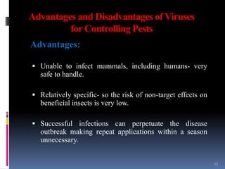 Advantages and Disadvantages of Viruses
for Controlling Pests
Advantages:
 Unable to infect mammals, including humans- very
safe to handle.
 Relatively specific- so the risk of non-target effects on
beneficial insects is very low.
 Successful infections can perpetuate the disease
outbreak making repeat applications within a season
unnecessary.
12
 
