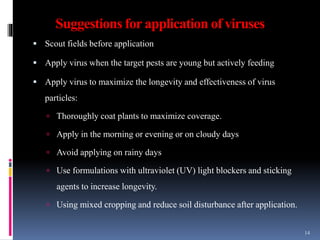 Suggestions for application of viruses
 Scout fields before application
 Apply virus when the target pests are young but actively feeding
 Apply virus to maximize the longevity and effectiveness of virus
particles:
 Thoroughly coat plants to maximize coverage.
 Apply in the morning or evening or on cloudy days
 Avoid applying on rainy days
 Use formulations with ultraviolet (UV) light blockers and sticking
agents to increase longevity.
 Using mixed cropping and reduce soil disturbance after application.
14
 