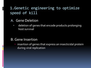 1.Genetic engineering to optimize
speed of kill
A. Gene Deletion
 deletion of genes that encode products prolonging
host survival
B. Gene Insertion
 insertion of genes that express an insecticidal protein
during viral replication
 