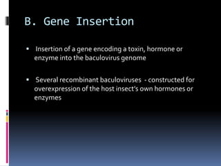 B. Gene Insertion
 Insertion of a gene encoding a toxin, hormone or
enzyme into the baculovirus genome
 Several recombinant baculoviruses - constructed for
overexpression of the host insect’s own hormones or
enzymes
 