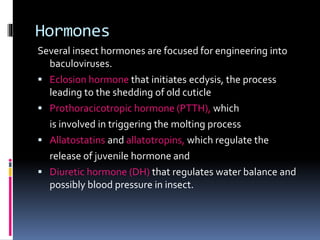 Hormones
Several insect hormones are focused for engineering into
baculoviruses.
 Eclosion hormone that initiates ecdysis, the process
leading to the shedding of old cuticle
 Prothoracicotropic hormone (PTTH), which
is involved in triggering the molting process
 Allatostatins and allatotropins, which regulate the
release of juvenile hormone and
 Diuretic hormone (DH) that regulates water balance and
possibly blood pressure in insect.
 