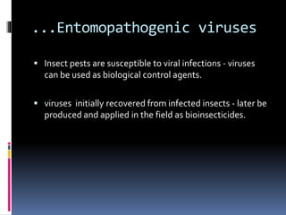 ...Entomopathogenic viruses
 Insect pests are susceptible to viral infections - viruses
can be used as biological control agents.
 viruses initially recovered from infected insects - later be
produced and applied in the field as bioinsecticides.
 
