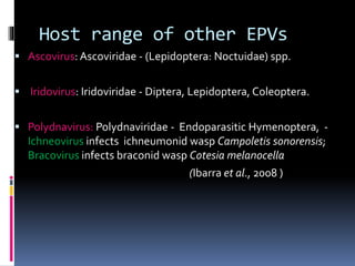 Host range of other EPVs
 Ascovirus: Ascoviridae - (Lepidoptera: Noctuidae) spp.
 Iridovirus: Iridoviridae - Diptera, Lepidoptera, Coleoptera.
 Polydnavirus: Polydnaviridae - Endoparasitic Hymenoptera, -
Ichneovirus infects ichneumonid wasp Campoletis sonorensis;
Bracovirus infects braconid wasp Cotesia melanocella
(Ibarra et al., 2008 )
 