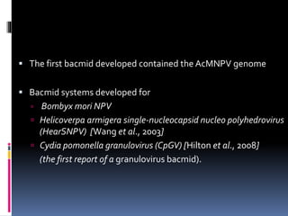  The first bacmid developed contained the AcMNPV genome
 Bacmid systems developed for
 Bombyx mori NPV
 Helicoverpa armigera single‐nucleocapsid nucleo polyhedrovirus
(HearSNPV) [Wang et al., 2003]
 Cydia pomonella granulovirus (CpGV) [Hilton et al., 2008]
(the first report of a granulovirus bacmid).
 