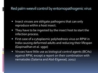 Redpalmweevilcontrolbyentomopathogenicvirus
 Insect viruses are obligate pathogens that can only
reproduce within a host insect.
 They have to be ingested by the insect host to start the
infection process.
 First case of a cytoplasmic polyhedrosis virus on RPW in
India causing deformed adults and reducing their lifespan
(Gopinadhan et al. 1990)
 Viruses have little use as biological control agents (BCAs)
against RPW, except a report on their combination with
nematodes (Salama and Abd-Elgawad, 2002)
 