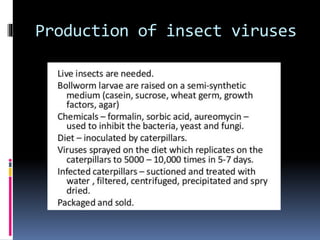 Production of insect viruses
 