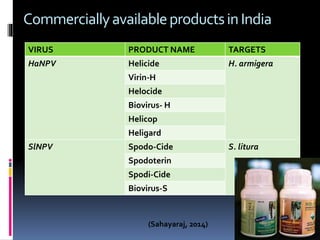 CommerciallyavailableproductsinIndia
(Sahayaraj, 2014)
VIRUS PRODUCT NAME TARGETS
HaNPV Helicide H. armigera
Virin-H
Helocide
Biovirus- H
Helicop
Heligard
SlNPV Spodo-Cide S. litura
Spodoterin
Spodi-Cide
Biovirus-S
 