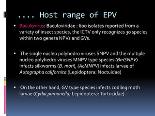 .... Host range of EPV
 Baculovirus: Baculoviridae : 600 isolates reported from a
variety of insect species, the ICTV only recognizes 30 species
within two genera NPVs and GVs.
 The single nucleo polyhedro viruses SNPV and the multiple
nucleo polyhedro viruses MNPV type species (BmSNPV)
infects silkworms (B. mori), (AcMNPV) infects larvae of
Autographa californica (Lepidoptera: Noctuidae)
 On the other hand, GV type species infects codling moth
larvae (Cydia pomonella; Lepidoptera:Tortricidae).
 