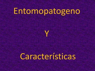 Entomopatogeno
Y
Características
 