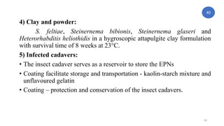 Entomophilic nematodes by Ajay Karthick S | PPTX