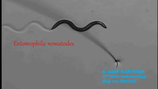 5
Entomophilic nematodes
1
S. AJAY KARTHICK
2ND MSc entomology
Reg no: 081702
 