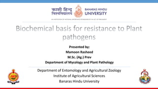 Department of Entomology and Agricultural Zoology
Institute of Agricultural Sciences
Banaras Hindu University
Presented by:
Mamoon Rasheed
M.Sc. (Ag.) Prev
Department of Mycology and Plant Pathology
 