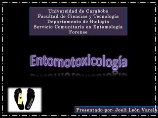 Universidad de Carabobo Facultad de Ciencias y Tecnología Departamento de Biología Servicio Comunitario en Entomología Forense Presentado por: Joeli León Varela 