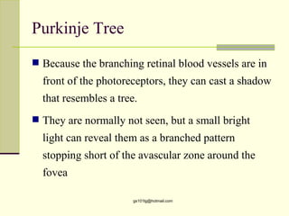 Purkinje Tree
 Because the branching retinal blood vessels are in
  front of the photoreceptors, they can cast a shadow
  that resembles a tree.
 They are normally not seen, but a small bright
  light can reveal them as a branched pattern
  stopping short of the avascular zone around the
  fovea

                       gs101lg@hotmail.com
 