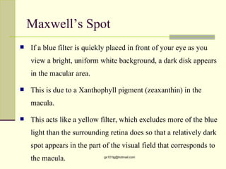 Maxwell’s Spot
   If a blue filter is quickly placed in front of your eye as you
    view a bright, uniform white background, a dark disk appears
    in the macular area.

   This is due to a Xanthophyll pigment (zeaxanthin) in the
    macula.

   This acts like a yellow filter, which excludes more of the blue
    light than the surrounding retina does so that a relatively dark
    spot appears in the part of the visual field that corresponds to
    the macula.              gs101lg@hotmail.com
 
