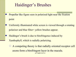 Haidinger’s Brushes
   Propellar like figure seen in polarized light near the fixation
    point

   Uniformly illuminated white screen is viewed through a rotating
    polarizer and blue filter= yellow brushes appear.

   Haidinger’s brush is due to birefringence induced by
    Xanthophyll, which is radially polarizing.

       A competing theory is that radially oriented receptor cell
        axons form a birefringent layer in the macula.
                              gs101lg@hotmail.com
 