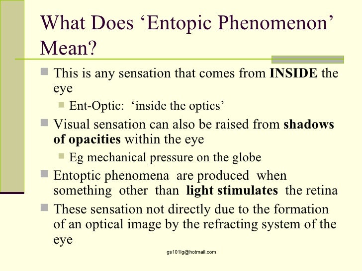 meaning of phenomenon in research