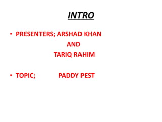 INTRO
• PRESENTERS; ARSHAD KHAN
AND
TARIQ RAHIM
• TOPIC; PADDY PEST
 