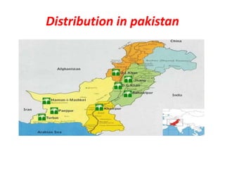 Distribution in pakistan
 
