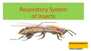 ento ppt.pptx entomology insect respiration system | PPTX