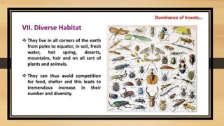 entomology notes ppt 2 insect-dominance.pptx
