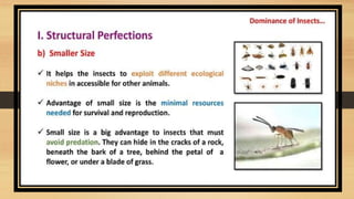 entomology notes ppt 2 insect-dominance.pptx