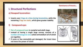 entomology notes ppt 2 insect-dominance.pptx