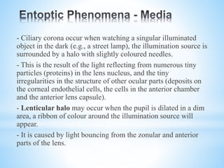 Voluntary Entoptic Visualization Entoptic Phenomena.pptx