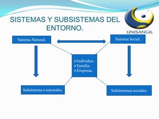 REALIDADES HUMANAS Y SOCIALES.Ambos entornos se encuentran en permanente interrelación.Cada sistema constituye para cada individuo, familia, empresa o cualquier otra entidad estructurada, un entorno general, aunque no especifico.Cada sistema esta conformado por  diversos subsistemas  los cualesconstituyen entornos específicos.