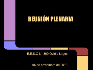 REUNIÓN PLENARIA

E.E.S.O N° 309 Ovidio Lagos

06 de noviembre de 2013

 