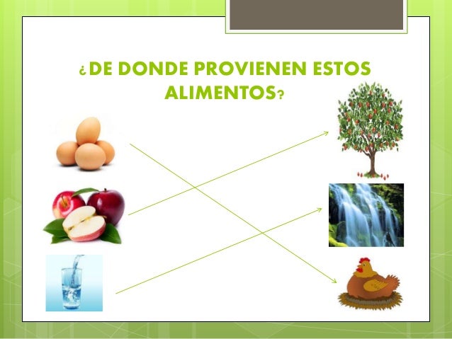 Entorno b2 origen de los alimentos ximena uquillas