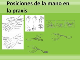 Posiciones de la mano en
la praxis
 