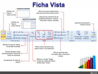 Exhibe una                   Abre una nueva ventana de la
       hoja en                  vista actual del documento actual
       modo normal
                                    Organiza las ventanas de los
                                   programas abiertos: mosaico,
                                     horizontal, vertical, cascada
             Exhibe una                                                               Opciones para grabar o
             hoja en                                                                         mostrar macros
             modo normal




 Muestra la hoja de cálculo
     en pantalla completa     Ofrece varias opciones para
                              aplicar Zoom a una selección

    Permite agregar vistas
                                                         Ofrece opciones para
personalizadas a través del
                                                      inmovilizar filas, columnas o
       modo de impresión
                                                                 ambas

                                 Mostrar u ocultar: Regla,
  Visualización de salto de
                                 Líneas de cuadricula, Barra
                    página
                                 de fórmulas, Títulos
 