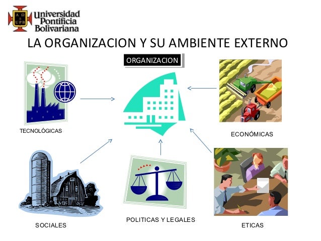 Entorno organizacional