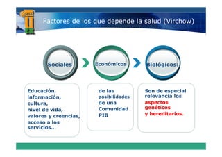 Factores de los que depende la salud (Virchow)




       Sociales        Económicos       Biológicos:



Educación,              de las          Son de especial
información,
información             posibilidades   relevancia los
cultura,                de una          aspectos
nivel de vida,          Comunidad       genéticos
valores y creencias,
   l            i       PIB             y hereditarios
                                          hereditarios.
acceso a los
servicios…
 